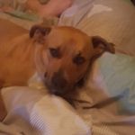 Kali Walker - @khunta8 - Instagram