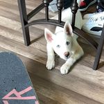 @kalin_smith - Instagram