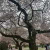 kaliyah - @kaliyahrfranklin - TikTok
