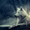 KalliWolf - @eyarb6 - TikTok