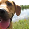 Kallie Mathis - @kallie.mathis - TikTok