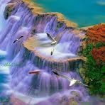 Kallol Roy - Facebook