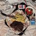 Kalvin Davis - Facebook