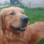Kalvin Hill - @kalvin_hill - Instagram