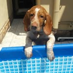Kalvin King - @kelvinking137 - Instagram