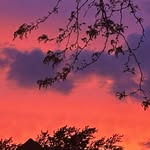 Kalvin King - @kcking_11 - Instagram