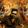 Kalyanboya kalyanboy - @kalyanboyakalyanboya - TikTok