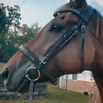 Kaylynn Couch - Facebook