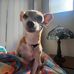 Kalyn Davis - Facebook
