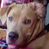 Kalyn_davis - @kalyn_davis2019 - TikTok