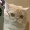 Kalynn - @kalynndyer11 - TikTok