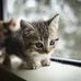 Kalyn Ward - Facebook