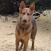 ItsMeKamGee - @itsmekamgee - TikTok