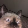 KAM.MA - @_.kam.ma._ - TikTok