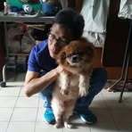 Kam Kow Mok - Facebook