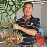 Kam Mok Chan - @kammokchan - Instagram