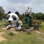 Kam Siew - Facebook
