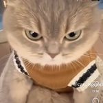 Kam Siew Zhen - @s_z0322 - Instagram