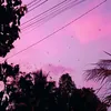 kam sung - @kam.sung - TikTok