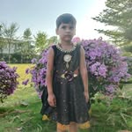 Kamal Virk - @kamalvirk209 - Instagram