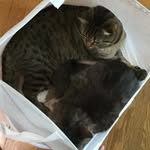 Kam_Watson_ - @kam_watson_ - Instagram