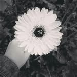 K ’ - @kamyingg - Instagram