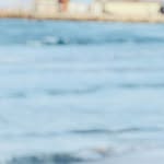 Elsayed Kamal - @elsayedkamal81 - Instagram