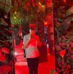 Kamal Elsayed - Facebook
