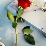 Kamal Hamdan - @kamalhamdan60 - Instagram