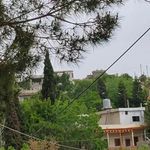 Kamal Hamdan - @kamalhamdan59 - Instagram