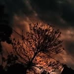 Chethan Kumar K M - @kamalamurthy123 - Instagram