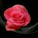 kamala Chandra Shekhar Murthy - @kamalachandrashekharmurthy - Instagram