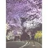 Kaman Ng590 - @31226026833 - TikTok