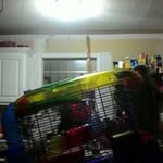 Kamar Johnson - @kamar.johnson - Instagram
