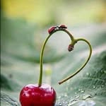Kamel Daoud - @daoud_kamel - Instagram
