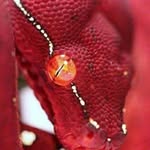KAMELHUSSEIN - @kamel_hussein_ - Instagram