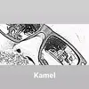 Kamel jamal - @kamelnacer699 - TikTok