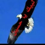 Kamel Kassem - @kamelslem397 - Instagram