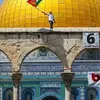 Kamel Kassem - @kamel.kassem5 - TikTok