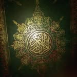 Kassem Kamel - @kassem.kamel.14 - Instagram