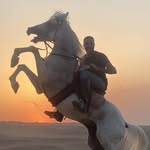 Kassem Kamel - @kassem.kamel.7 - Instagram