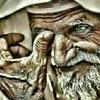 kamel  king - @user53388011 - TikTok