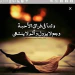 kamel King - @kamelking1 - Instagram