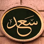 Kamel Saad - @sadkamello - Instagram