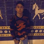 kamel saad - @cheetah_cub_ - Instagram