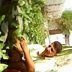 Kamel Shehata - @kamelshehata95 - Instagram