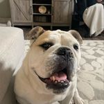 Kameron - @kameron_atkins1 - Instagram