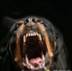 Cameron Bowers - Facebook