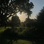 Cameron Carlson - @cbcarlson_ - Instagram