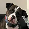 Cameron Carr - @cameron.carr29 - TikTok